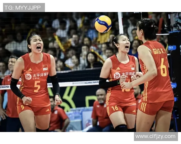 成都与南京排球队对决分析灵活性成胜负关键因素